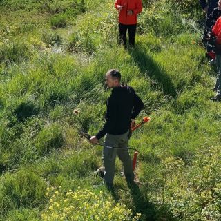 Loading...