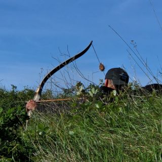 Loading...